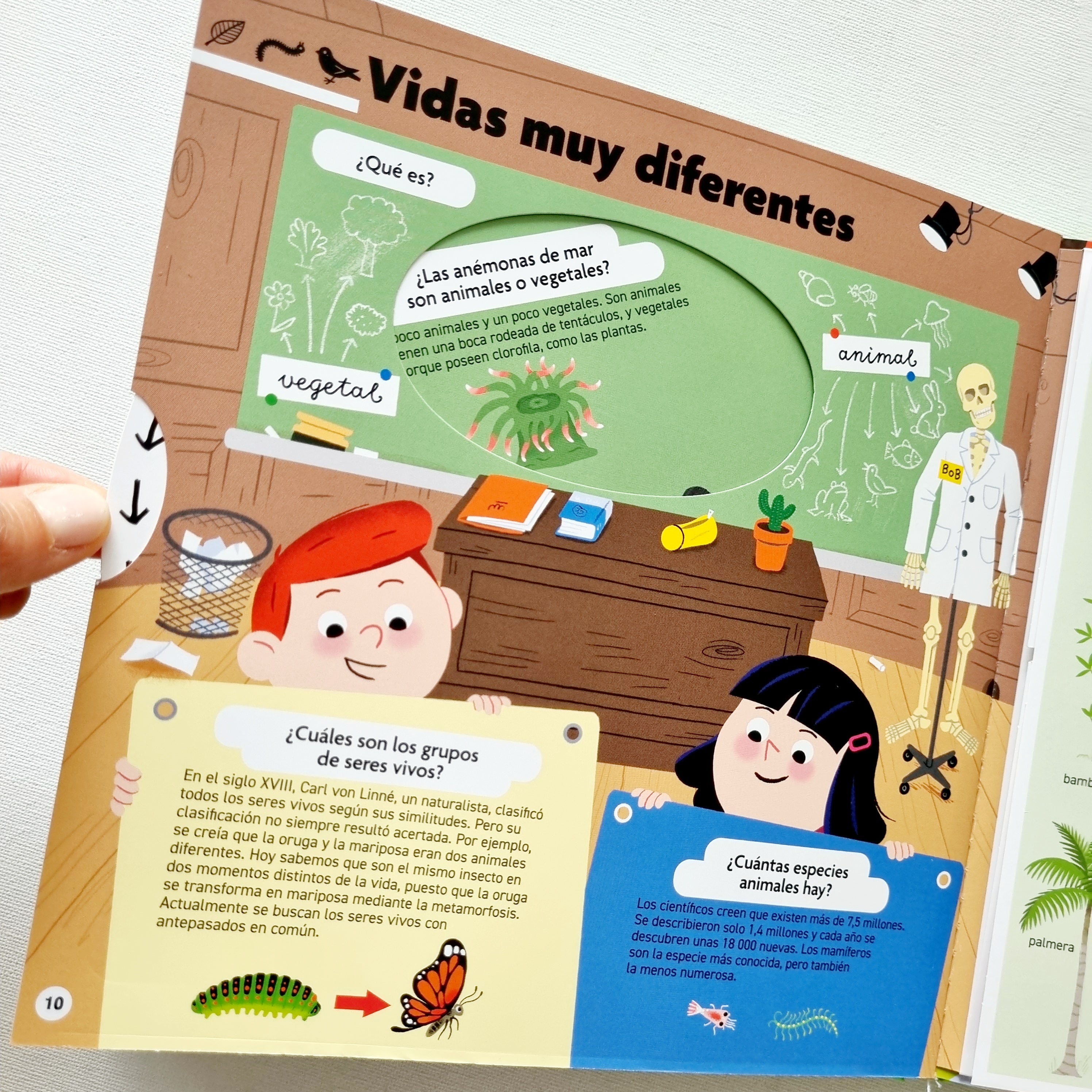 El libro de la naturaleza. Pequeños curiosos El libro de la naturaleza. Pequeños curiosos